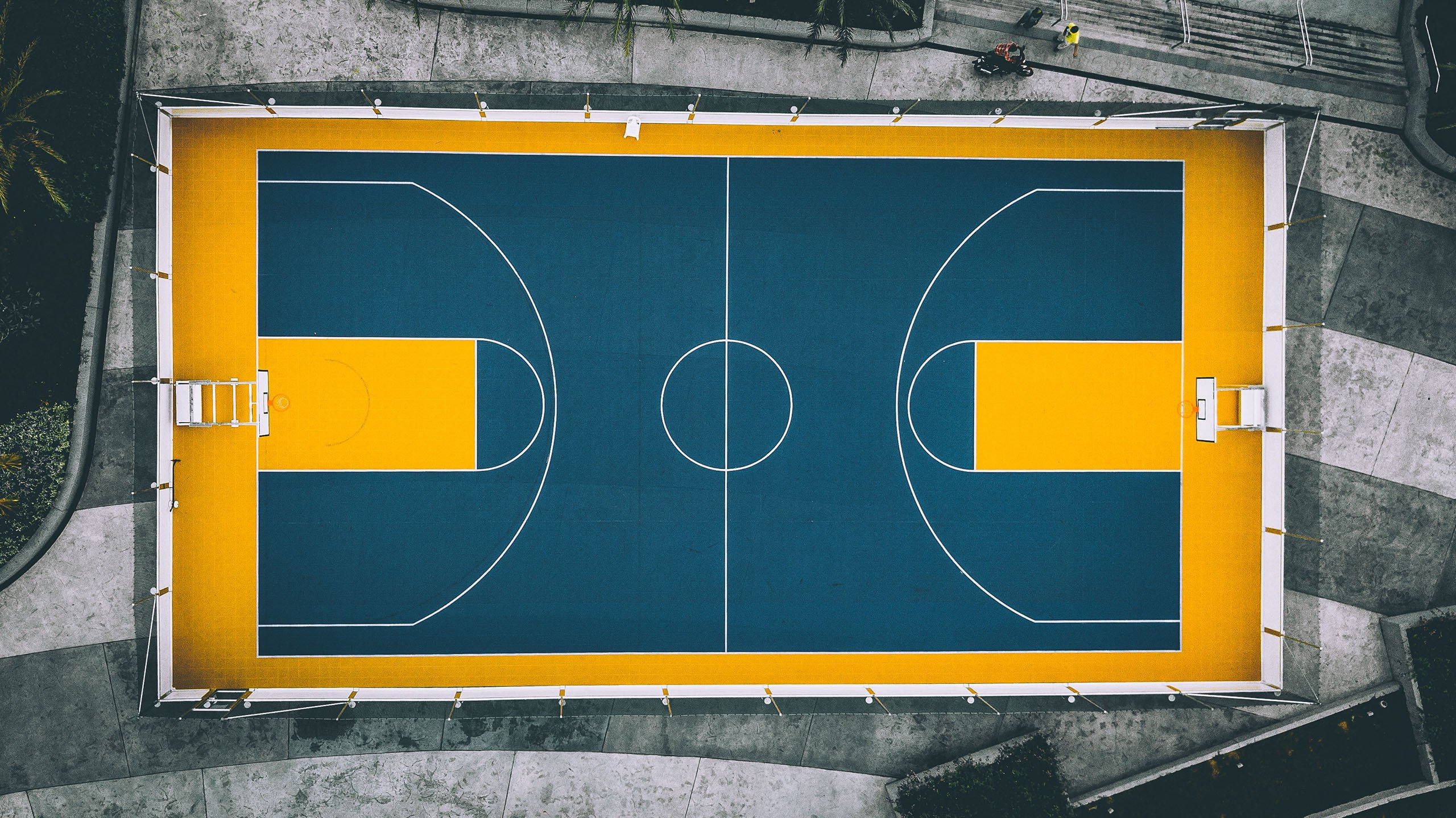 魔笛穿越的决赛,塞尔维亚完胜阿联酋,战术成功再造经典
